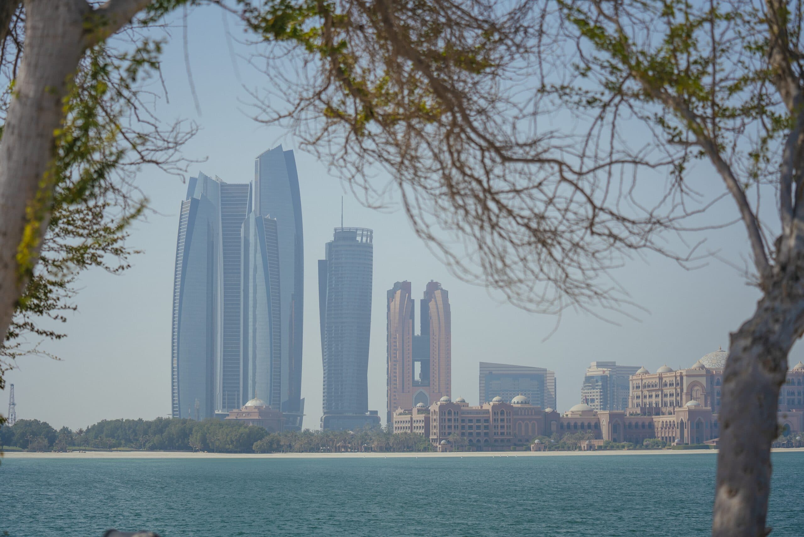 The Etihad Towers across the water from the Corniche, framed by a tree